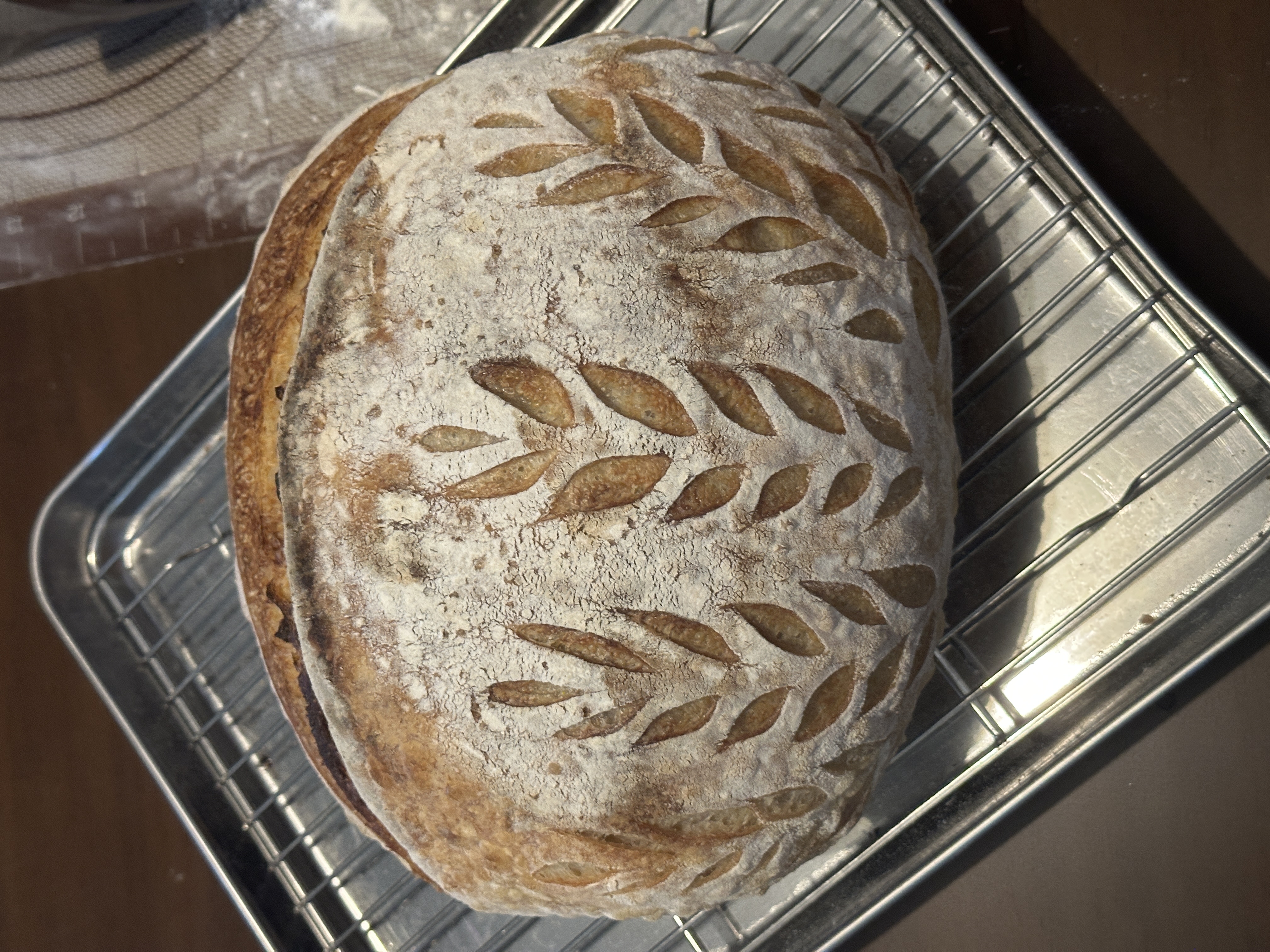 Sourdough Journey