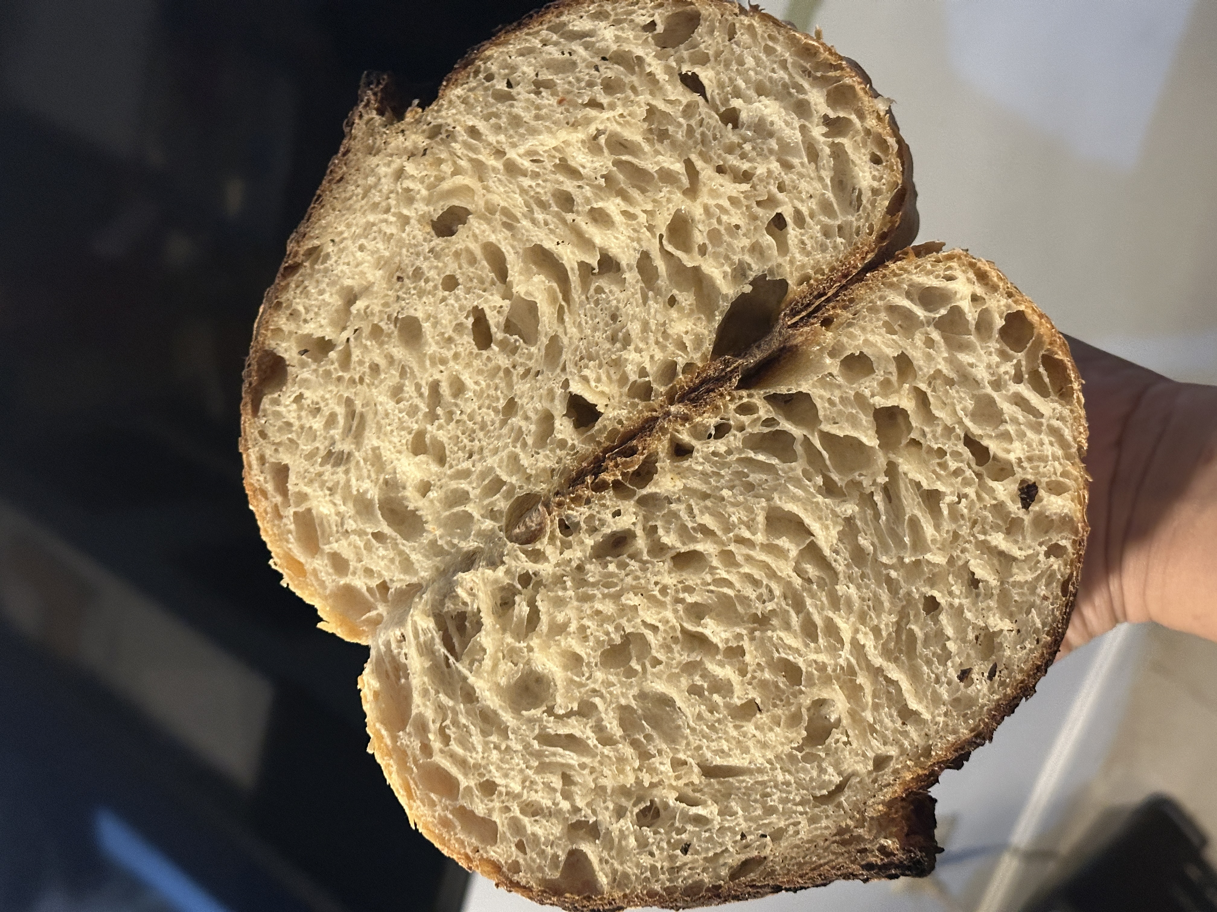 Sourdough Journey