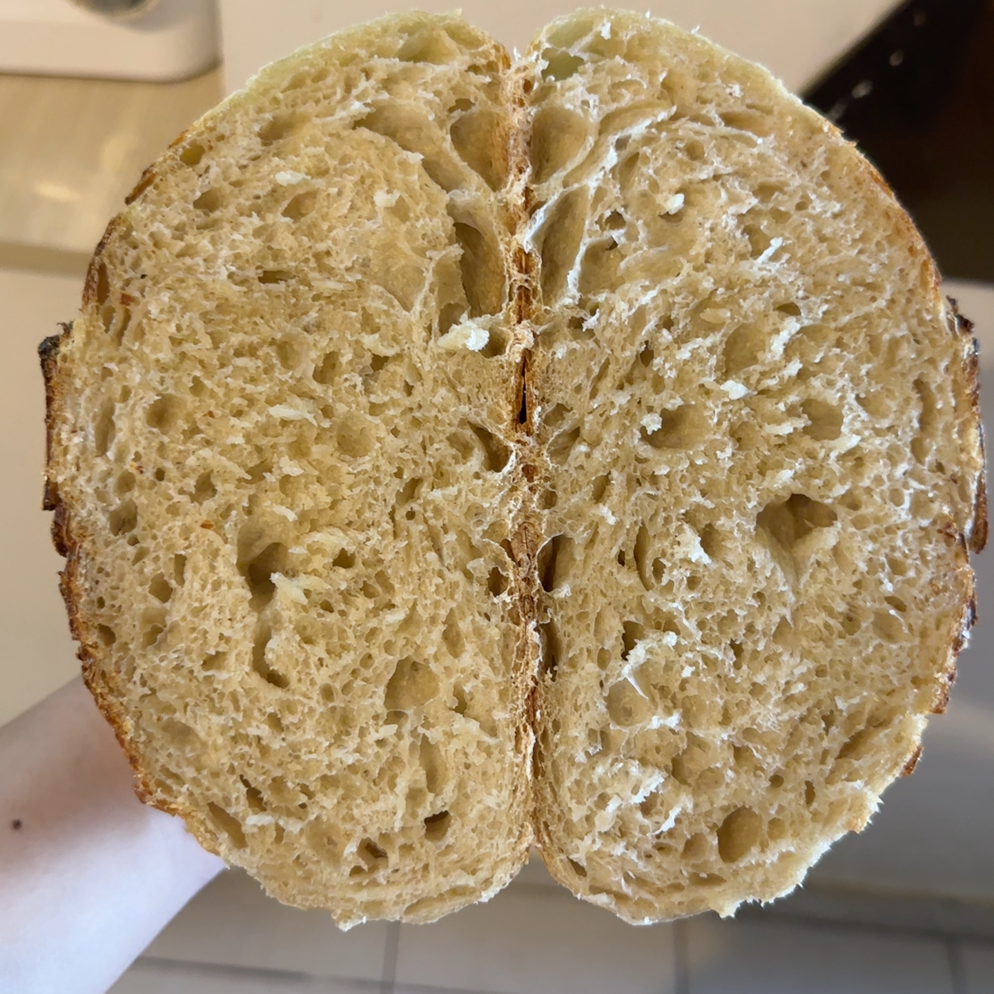 Sourdough Journey